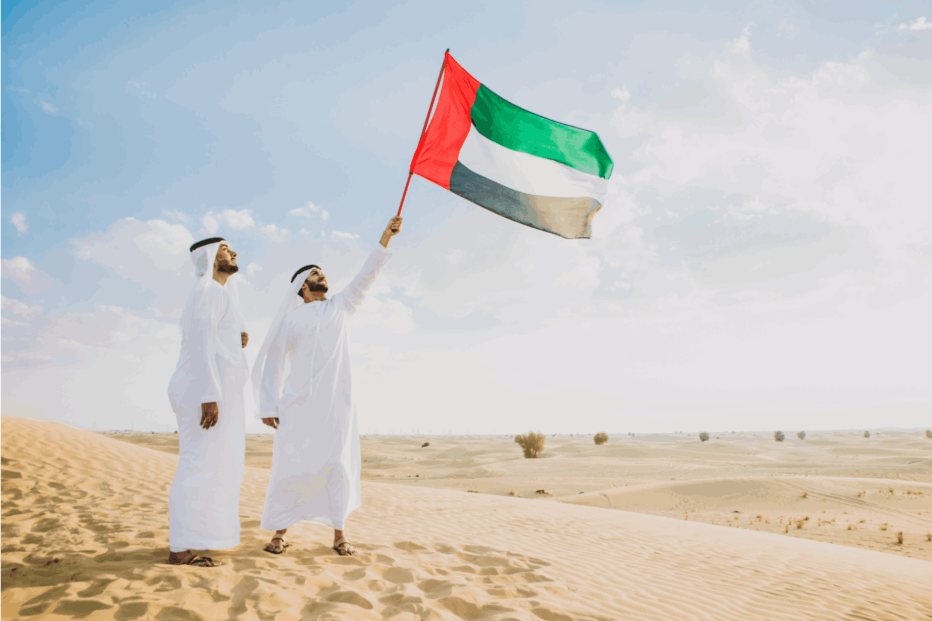 uae flag